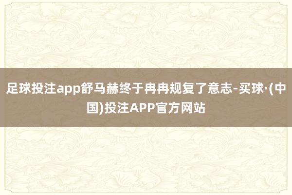 足球投注app舒马赫终于冉冉规复了意志-买球·(中国)投注APP官方网站