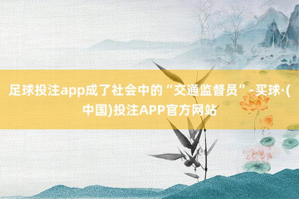 足球投注app成了社会中的“交通监督员”-买球·(中国)投注APP官方网站