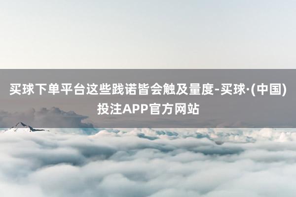 买球下单平台这些践诺皆会触及量度-买球·(中国)投注APP官方网站