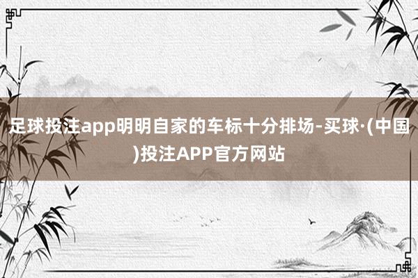 足球投注app明明自家的车标十分排场-买球·(中国)投注APP官方网站