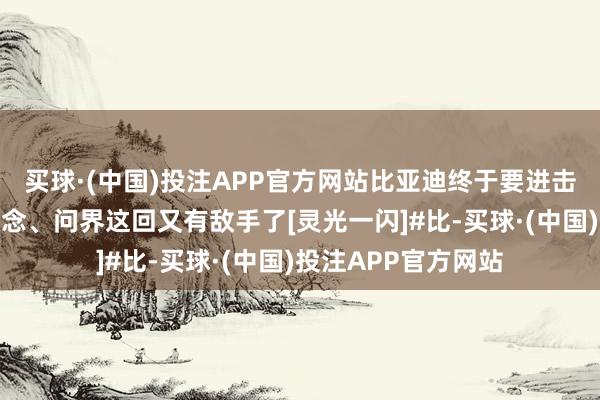 买球·(中国)投注APP官方网站比亚迪终于要进击奶爸市集了，理念念、问界这回又有敌手了[灵光一闪]#比-买球·(中国)投注APP官方网站