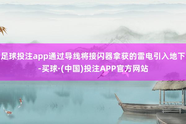 足球投注app通过导线将接闪器拿获的雷电引入地下-买球·(中国)投注APP官方网站