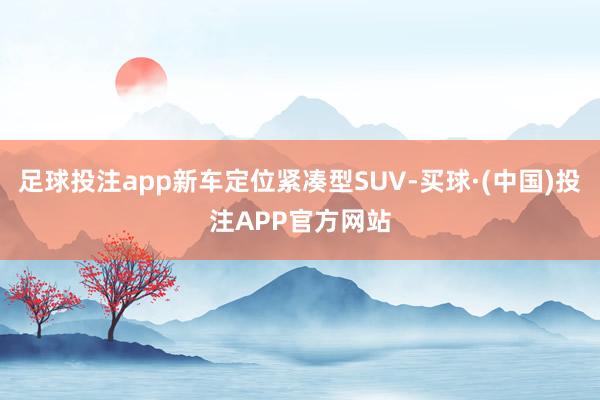 足球投注app新车定位紧凑型SUV-买球·(中国)投注APP官方网站