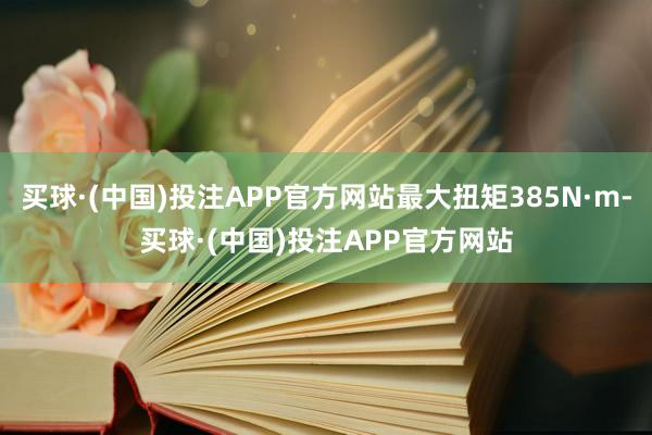 买球·(中国)投注APP官方网站最大扭矩385N·m-买球·(中国)投注APP官方网站