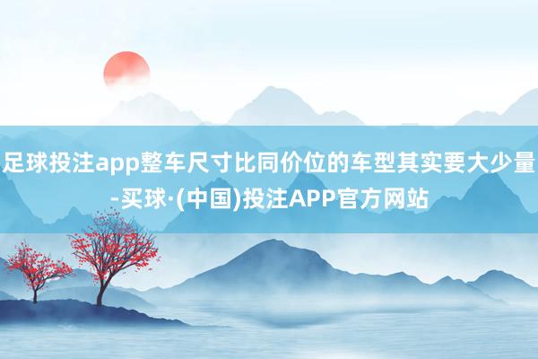 足球投注app整车尺寸比同价位的车型其实要大少量-买球·(中国)投注APP官方网站