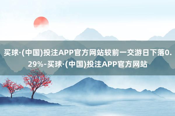 买球·(中国)投注APP官方网站较前一交游日下落0.29%-买球·(中国)投注APP官方网站