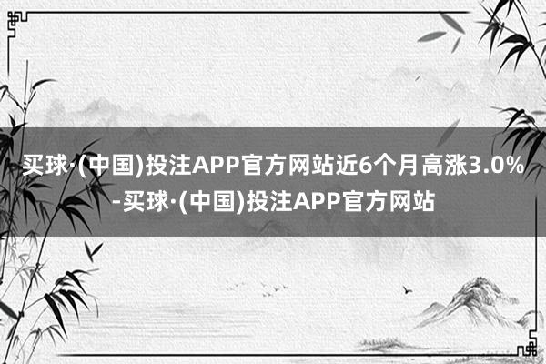 买球·(中国)投注APP官方网站近6个月高涨3.0%-买球·(中国)投注APP官方网站