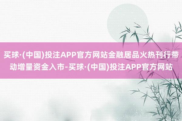 买球·(中国)投注APP官方网站金融居品火热刊行带动增量资金入市-买球·(中国)投注APP官方网站