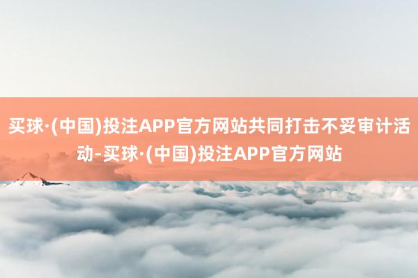 买球·(中国)投注APP官方网站共同打击不妥审计活动-买球·(中国)投注APP官方网站