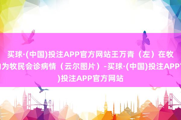 买球·(中国)投注APP官方网站王万青（左）在牧民帐篷内为牧民会诊病情（云尔图片）-买球·(中国)投注APP官方网站