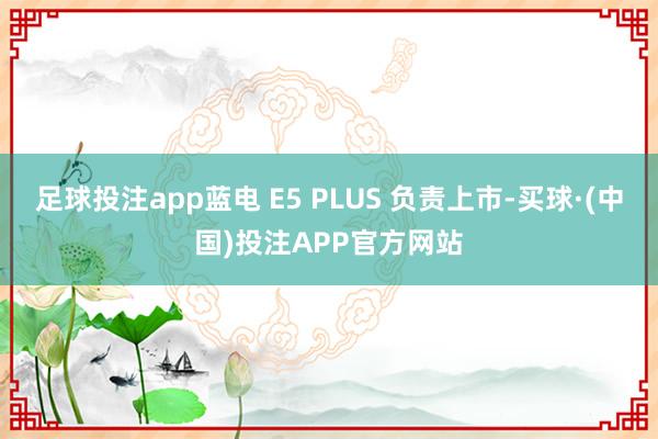 足球投注app蓝电 E5 PLUS 负责上市-买球·(中国)投注APP官方网站