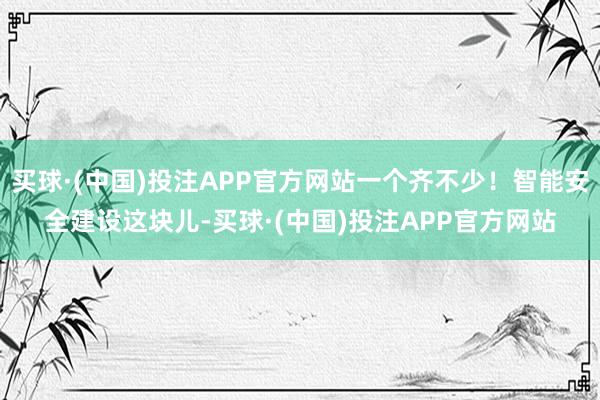 买球·(中国)投注APP官方网站一个齐不少！智能安全建设这块儿-买球·(中国)投注APP官方网站