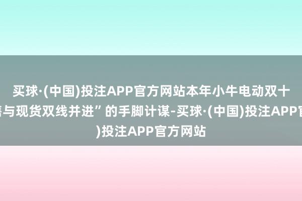 买球·(中国)投注APP官方网站本年小牛电动双十一“预售与现货双线并进”的手脚计谋-买球·(中国)投注APP官方网站