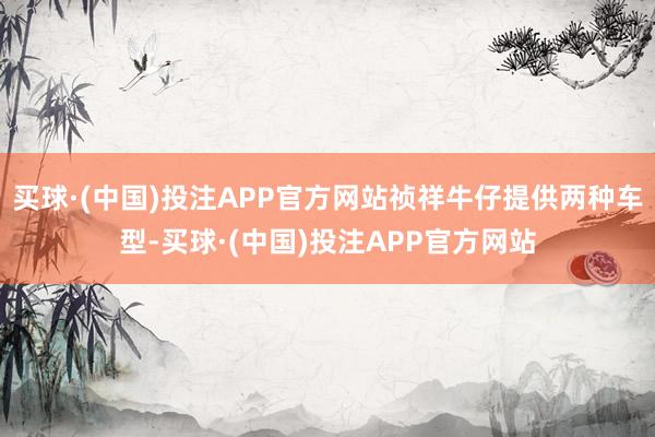 买球·(中国)投注APP官方网站祯祥牛仔提供两种车型-买球·(中国)投注APP官方网站