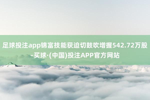 足球投注app锦富技能获迫切鼓吹增握542.72万股-买球·(中国)投注APP官方网站