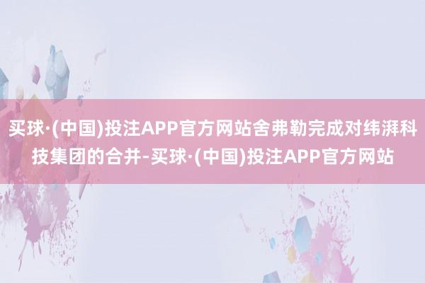 买球·(中国)投注APP官方网站舍弗勒完成对纬湃科技集团的合并-买球·(中国)投注APP官方网站