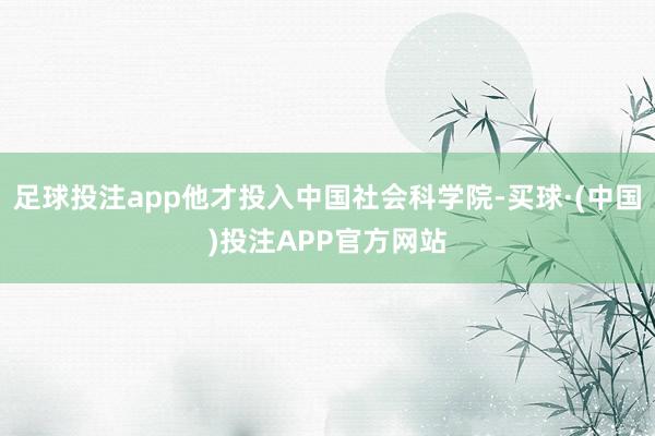 足球投注app他才投入中国社会科学院-买球·(中国)投注APP官方网站