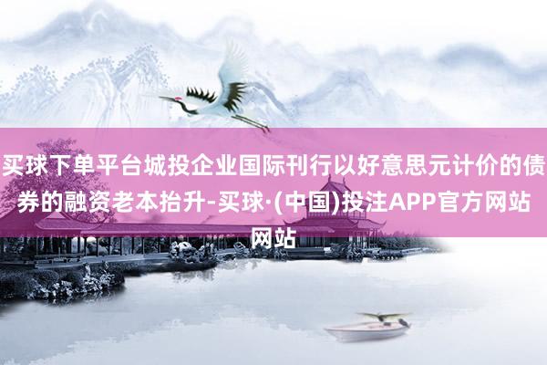 买球下单平台城投企业国际刊行以好意思元计价的债券的融资老本抬升-买球·(中国)投注APP官方网站