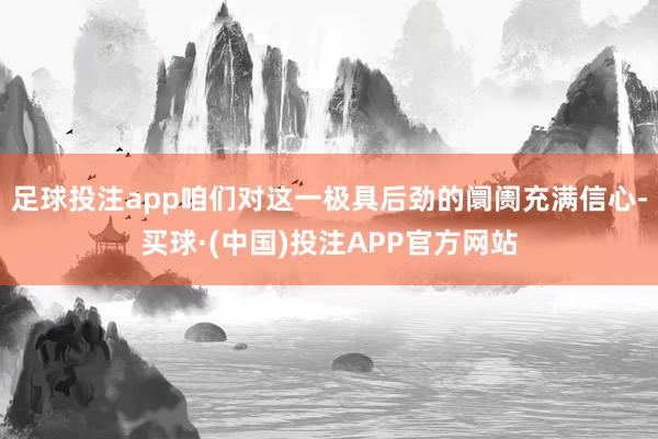 足球投注app咱们对这一极具后劲的阛阓充满信心-买球·(中国)投注APP官方网站