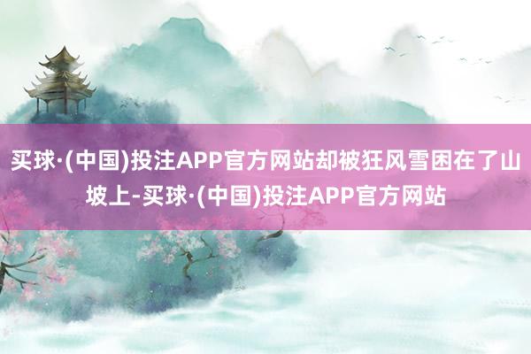 买球·(中国)投注APP官方网站却被狂风雪困在了山坡上-买球·(中国)投注APP官方网站