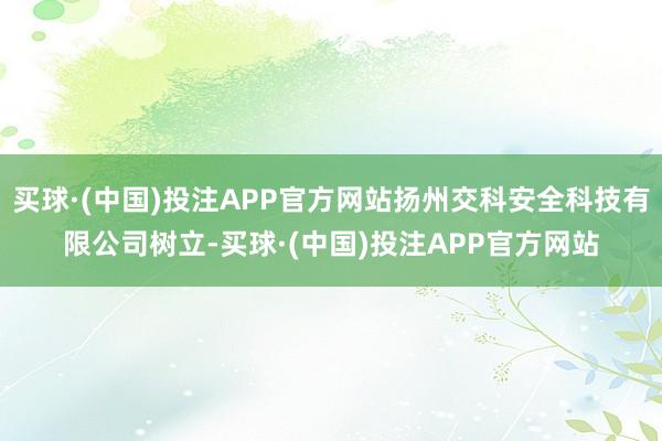 买球·(中国)投注APP官方网站扬州交科安全科技有限公司树立-买球·(中国)投注APP官方网站