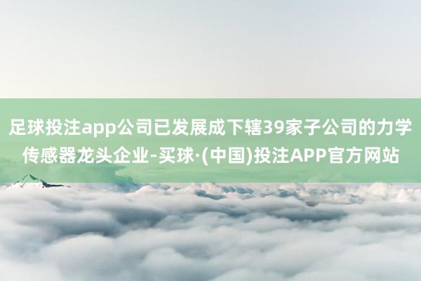 足球投注app公司已发展成下辖39家子公司的力学传感器龙头企业-买球·(中国)投注APP官方网站