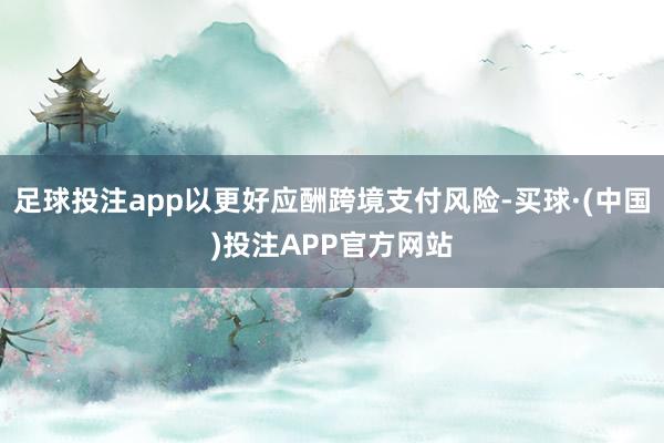 足球投注app以更好应酬跨境支付风险-买球·(中国)投注APP官方网站