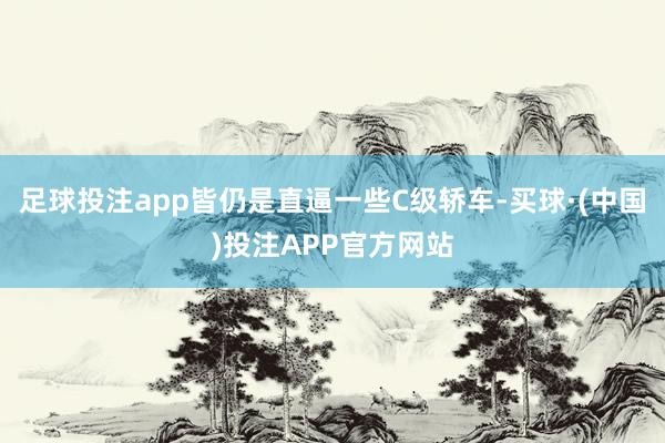 足球投注app皆仍是直逼一些C级轿车-买球·(中国)投注APP官方网站