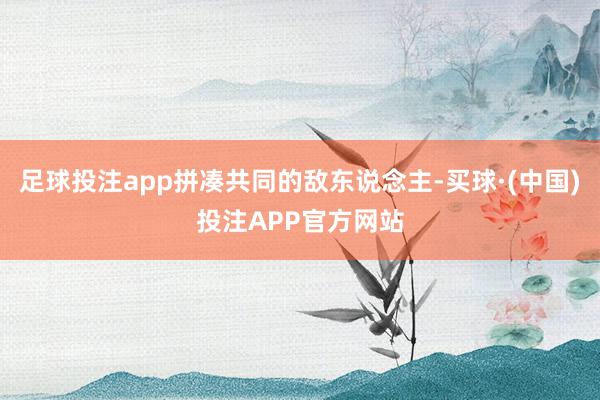 足球投注app拼凑共同的敌东说念主-买球·(中国)投注APP官方网站