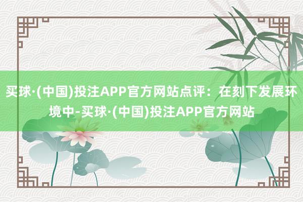 买球·(中国)投注APP官方网站点评：在刻下发展环境中-买球·(中国)投注APP官方网站