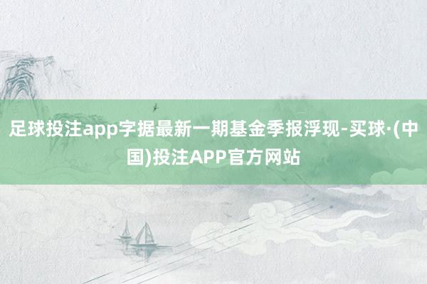 足球投注app字据最新一期基金季报浮现-买球·(中国)投注APP官方网站