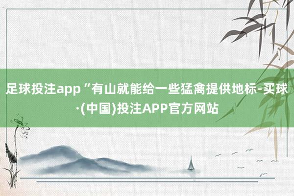 足球投注app“有山就能给一些猛禽提供地标-买球·(中国)投注APP官方网站