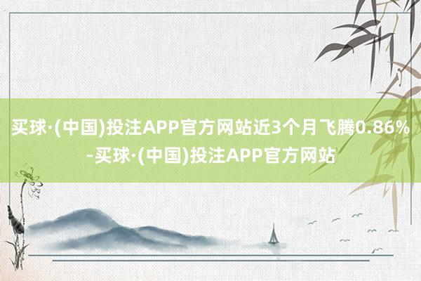 买球·(中国)投注APP官方网站近3个月飞腾0.86%-买球·(中国)投注APP官方网站