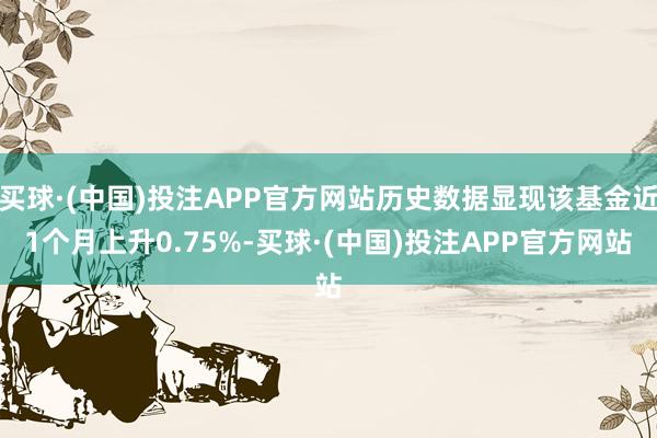 买球·(中国)投注APP官方网站历史数据显现该基金近1个月上升0.75%-买球·(中国)投注APP官方网站