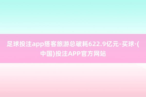 足球投注app搭客旅游总破耗622.9亿元-买球·(中国)投注APP官方网站