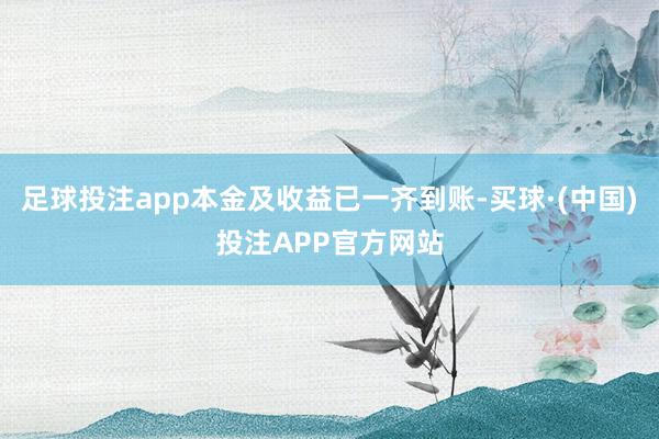 足球投注app本金及收益已一齐到账-买球·(中国)投注APP官方网站