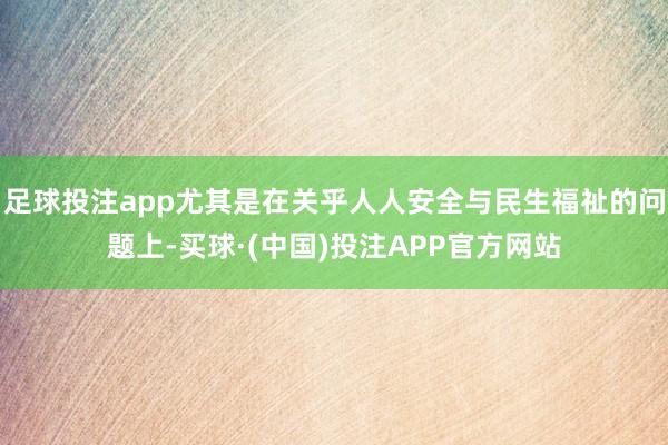 足球投注app尤其是在关乎人人安全与民生福祉的问题上-买球·(中国)投注APP官方网站