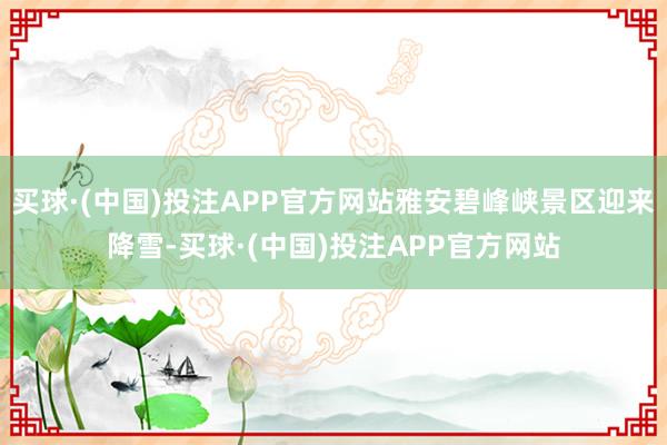 买球·(中国)投注APP官方网站雅安碧峰峡景区迎来降雪-买球·(中国)投注APP官方网站