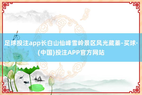 足球投注app长白山仙峰雪岭景区风光葳蓁-买球·(中国)投注APP官方网站