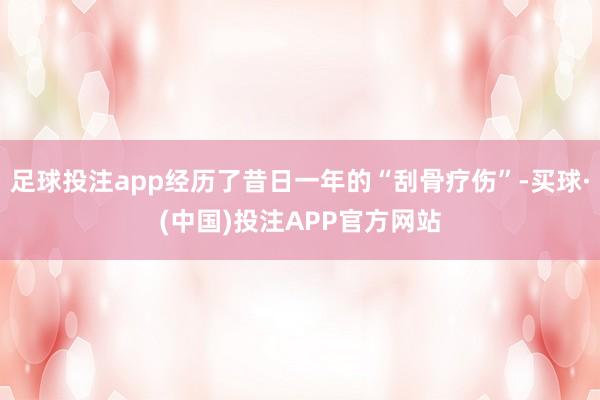 足球投注app经历了昔日一年的“刮骨疗伤”-买球·(中国)投注APP官方网站