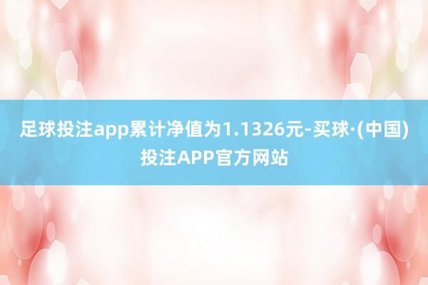 足球投注app累计净值为1.1326元-买球·(中国)投注APP官方网站