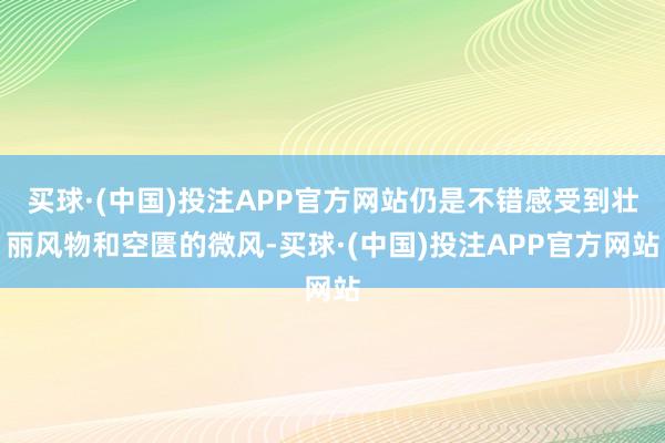 买球·(中国)投注APP官方网站仍是不错感受到壮丽风物和空匮的微风-买球·(中国)投注APP官方网站