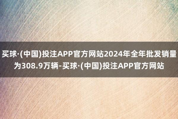 买球·(中国)投注APP官方网站2024年全年批发销量为308.9万辆-买球·(中国)投注APP官方网站