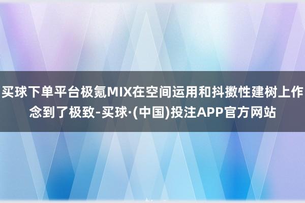 买球下单平台极氪MIX在空间运用和抖擞性建树上作念到了极致-买球·(中国)投注APP官方网站