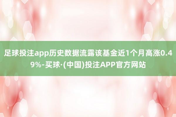 足球投注app历史数据流露该基金近1个月高涨0.49%-买球·(中国)投注APP官方网站