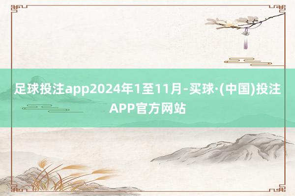 足球投注app2024年1至11月-买球·(中国)投注APP官方网站