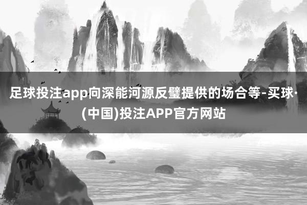 足球投注app向深能河源反璧提供的场合等-买球·(中国)投注APP官方网站