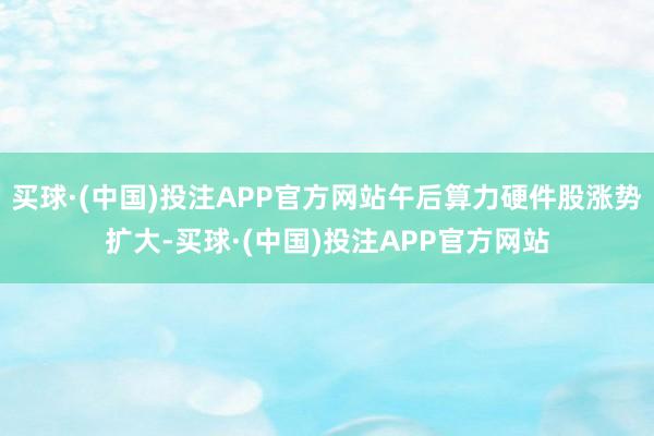 买球·(中国)投注APP官方网站午后算力硬件股涨势扩大-买球·(中国)投注APP官方网站