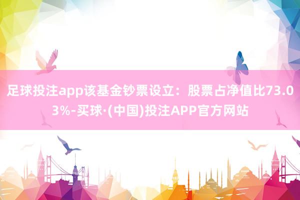 足球投注app该基金钞票设立：股票占净值比73.03%-买球·(中国)投注APP官方网站