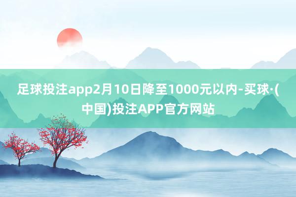 足球投注app2月10日降至1000元以内-买球·(中国)投注APP官方网站